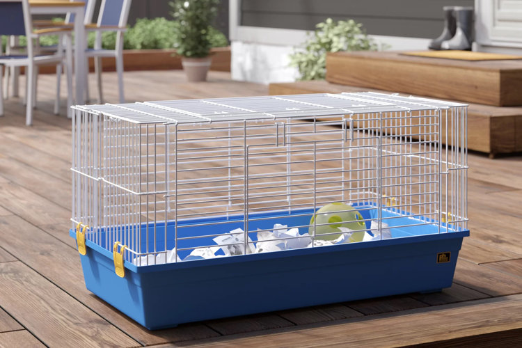 Our Guide to Small Animal Cages & Habitats Wayfair